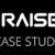 RAISE3D Case Study