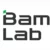 Bambu Lab Logo